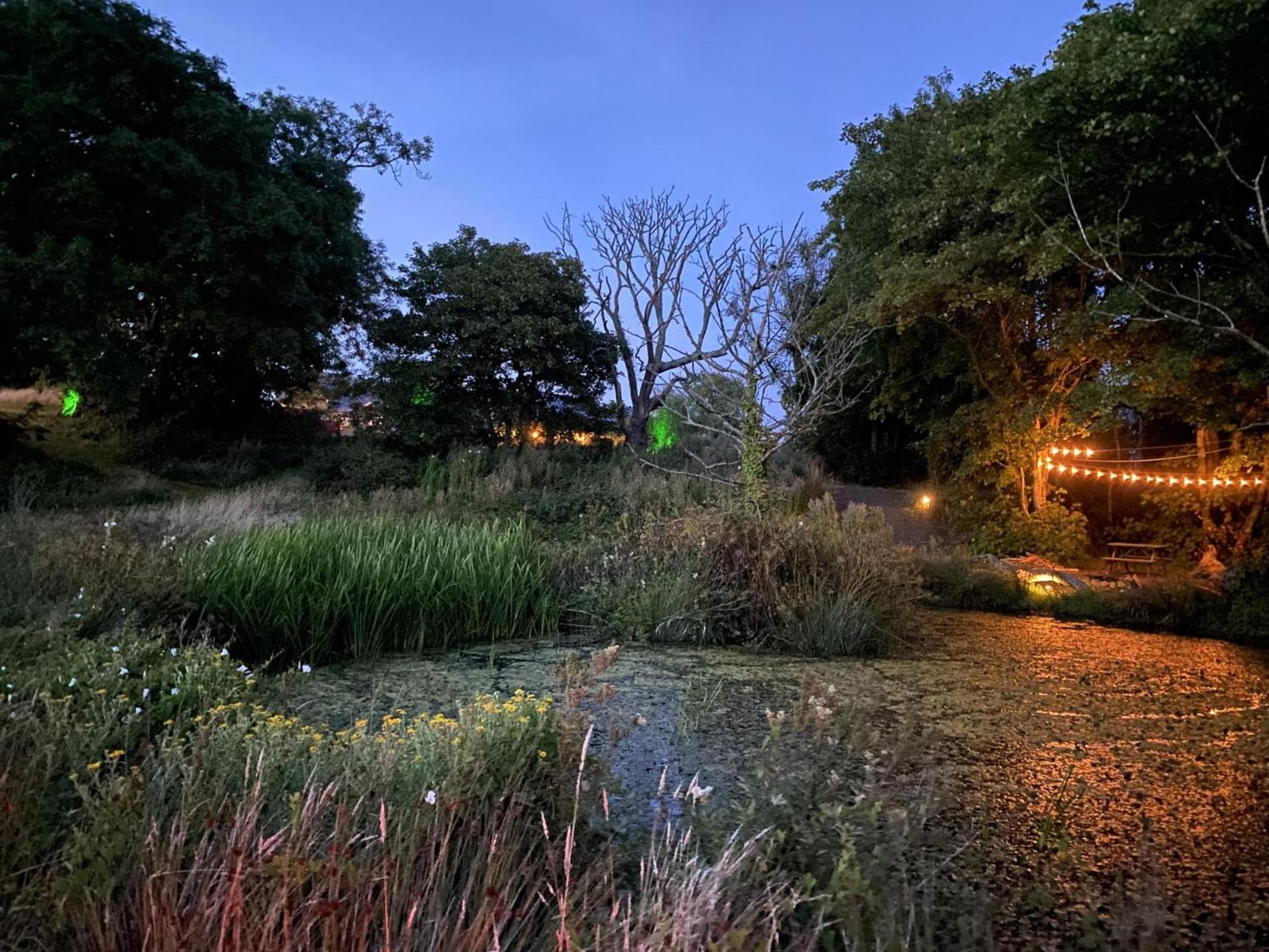 Johnston Foxglove - Luxurious Barn Conversion - Blossom Farm מראה חיצוני תמונה